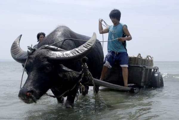 Local fisherman using traditional methods