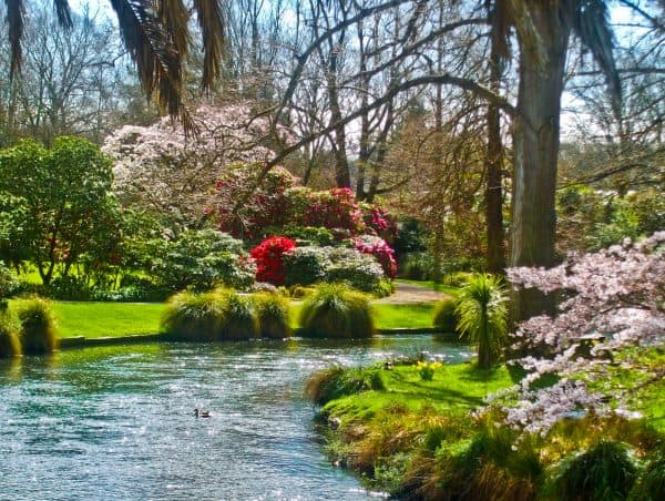 hagley park gardens in christchurch