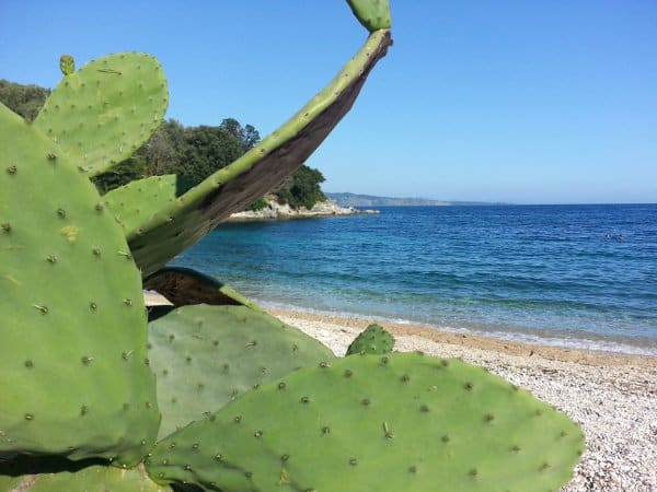 Corfu is one of the greenest of the Greek Islands