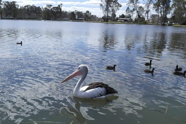 Shepparton is a great spot to get away from the hustle and bustle of Melbourne