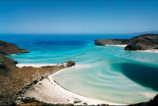 La Paz on the Baja Peninsula is the beach for those wanting to see amazing sealife in the wild