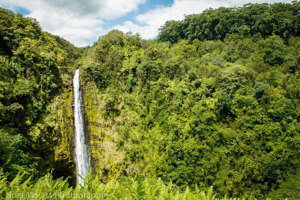 Hawaii, the Big Island is an amazing and diverse landscape for a road trip