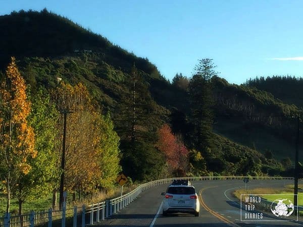 The south island of New Zealand should be on everyone's road trip bucket list