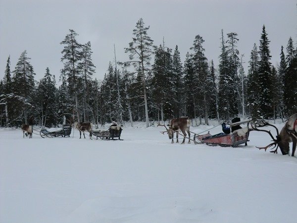 A Finland road trip is all about snow, reindeer and ice bars.