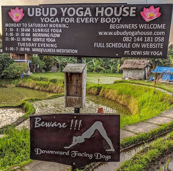 It seems every second building in Ubud is a yoga studio