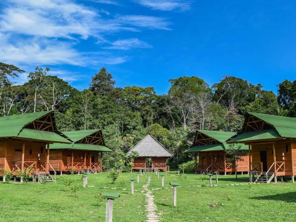 The jungle accommodation is the perfect belnd of comfort and natural