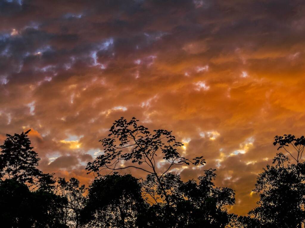 One thing that seemed to be proven day after day, jungle sunsets never disappoint.
