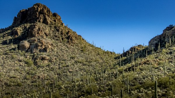 Saguaro National Park West is far more rugged than the East section