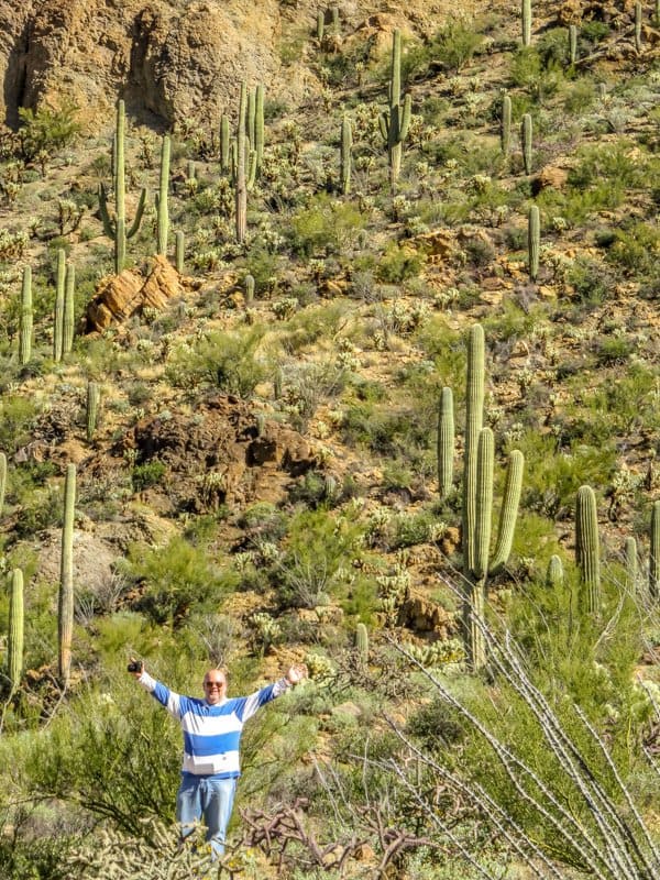 As opposed to the well maintained flat walking trails in Saguaro National Park East, the West section makes you work harder but the rewards are worth it