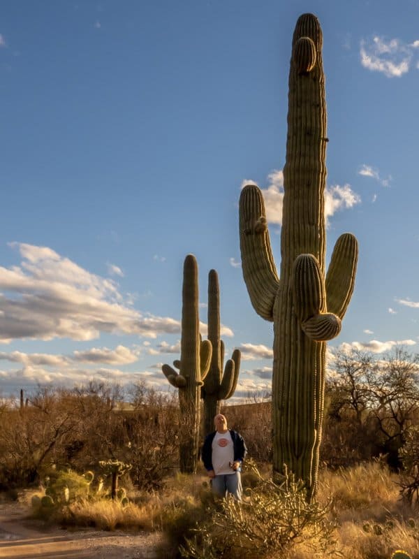 Until you get to stand beside a giant Saguaro you can not truly grasp the size of these massive beasts