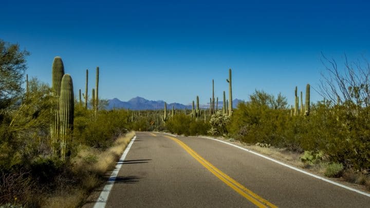 A truly beautiful drive through the Saguaro National Park