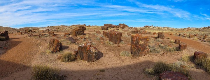 The Petrified Forest National Park is so much more than the name suggests.