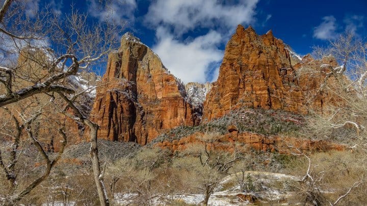 After the sweeping open plains and canyons of the desert Zion's mountains were a huge change of scenery