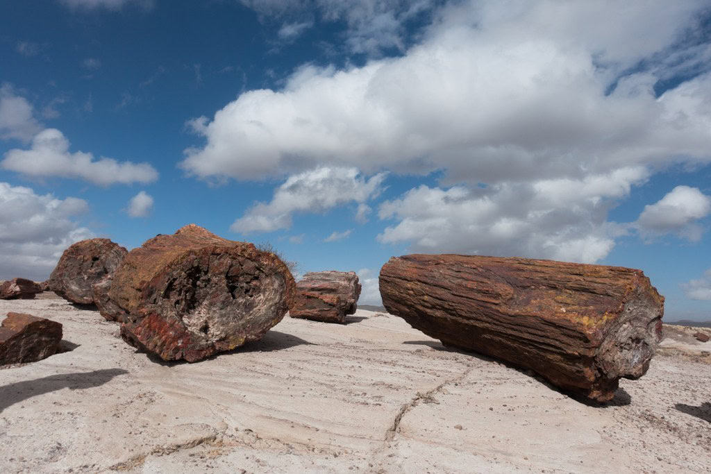 The Petrified Forest National Park has multicolored striated mountains, ancient Indian pueblos, rock carvings and, of course, forests of petrified wood.