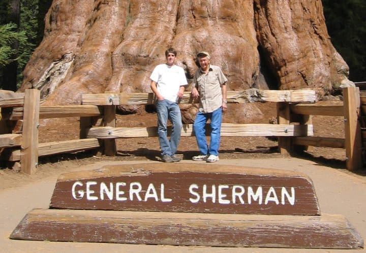 Massive trees are what it’s all about at Sequoia National Park