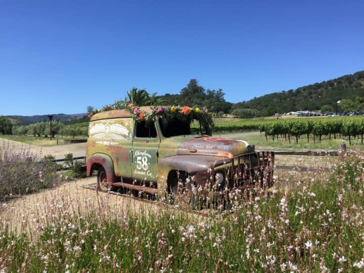 Sonoma is the heart of California wine country