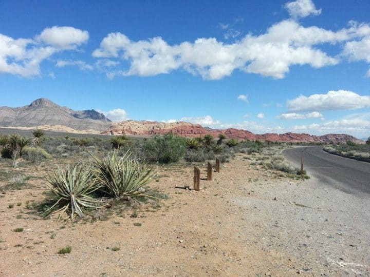 explore the tranquillity and the everchanging colours in Red Rock Canyon.