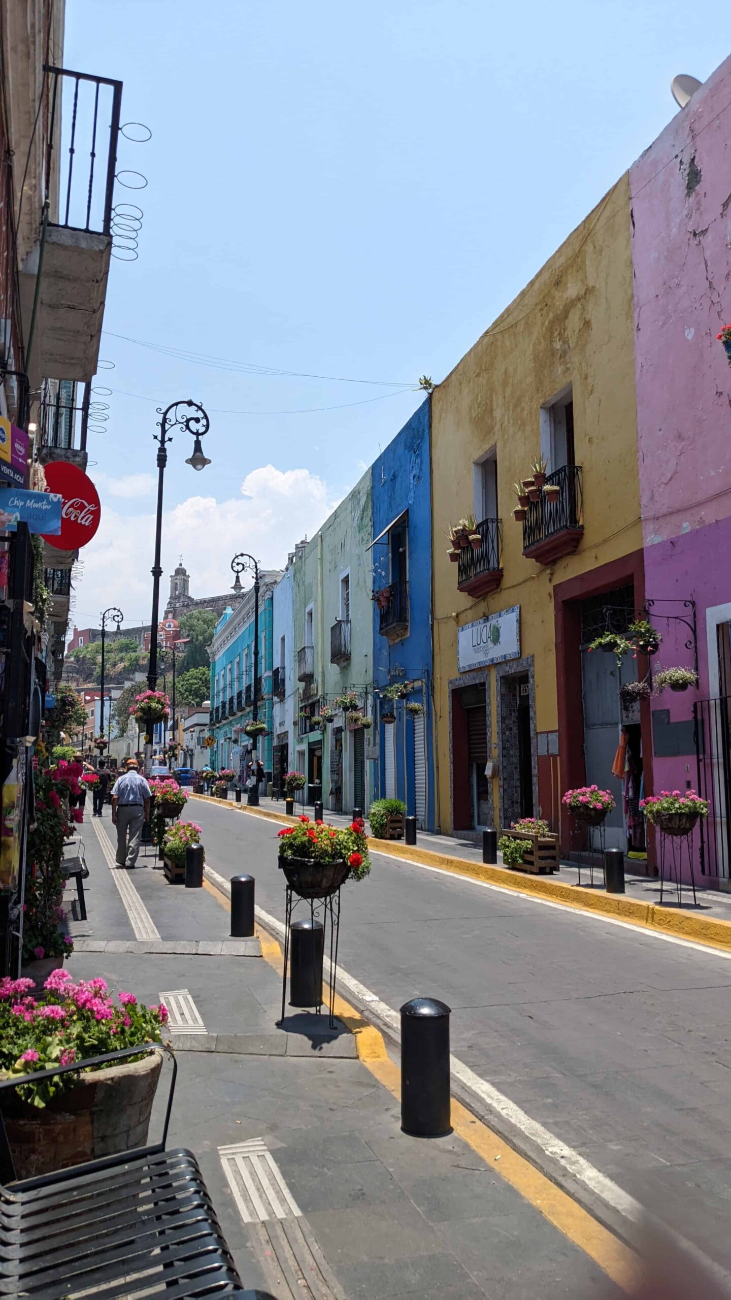 floral arrangement along the street give atlixco its flower town name