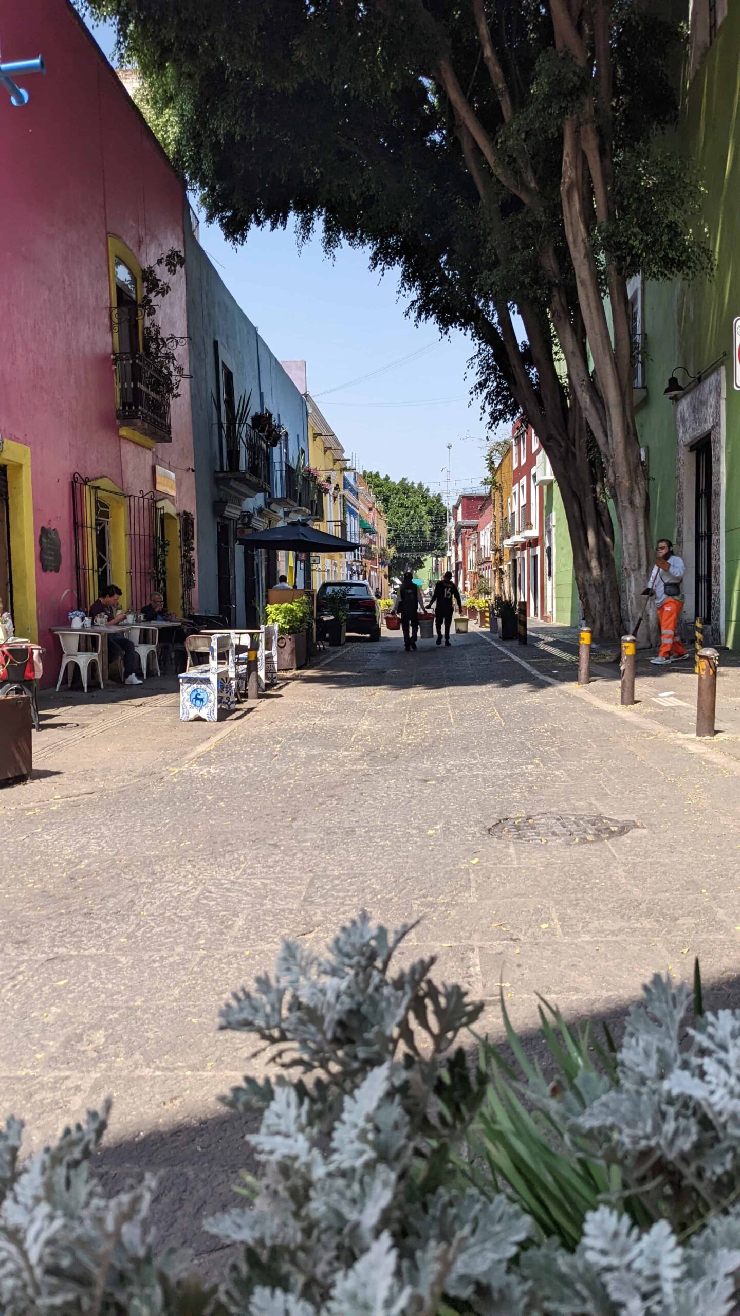 prettiest street in puebla