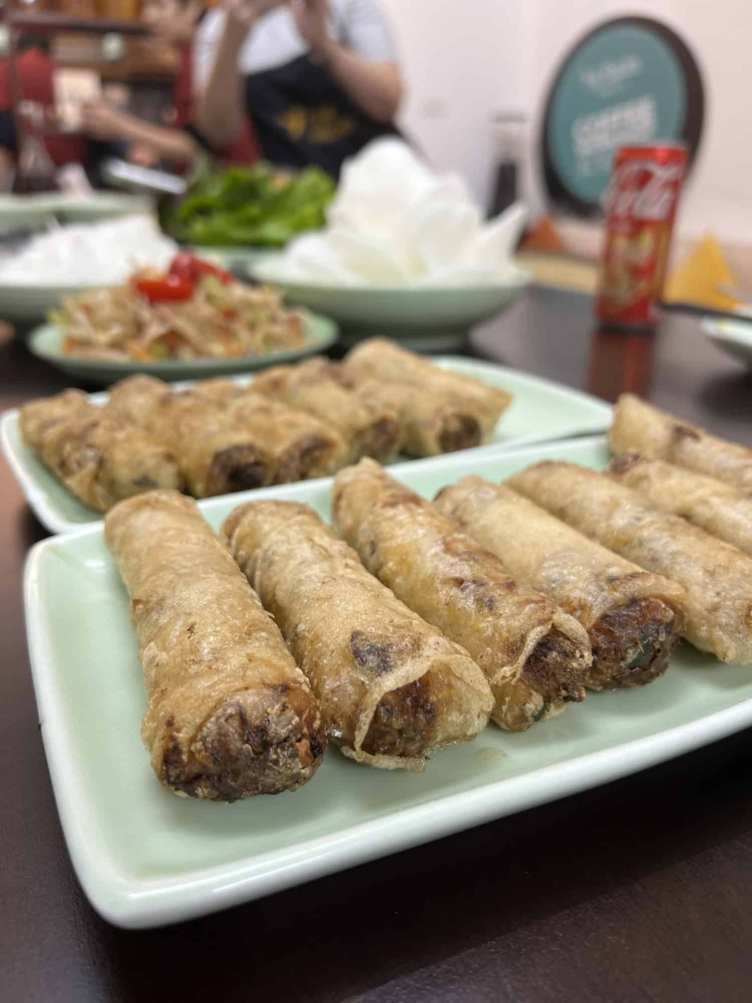 Vietnamese fried Spring Rolls made during a cooking class in Hoi An
